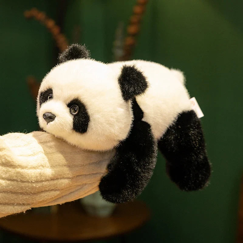 Cute Lying Red Panda/Panda/Fox/Teddy Bear/Wolf/Polar Bear Plush Toys 30-60cm