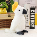 Bird (Lifelike Parrot) Plush Toys 25cm