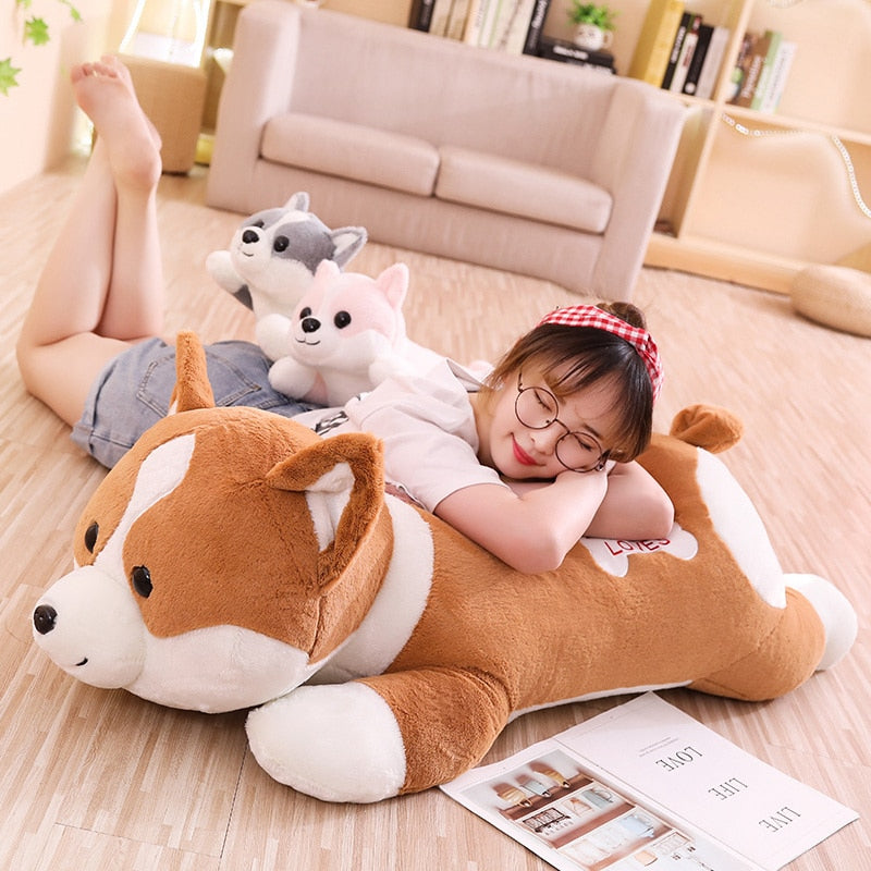 Cute Corgi Dog Plush Toys 60-100cm