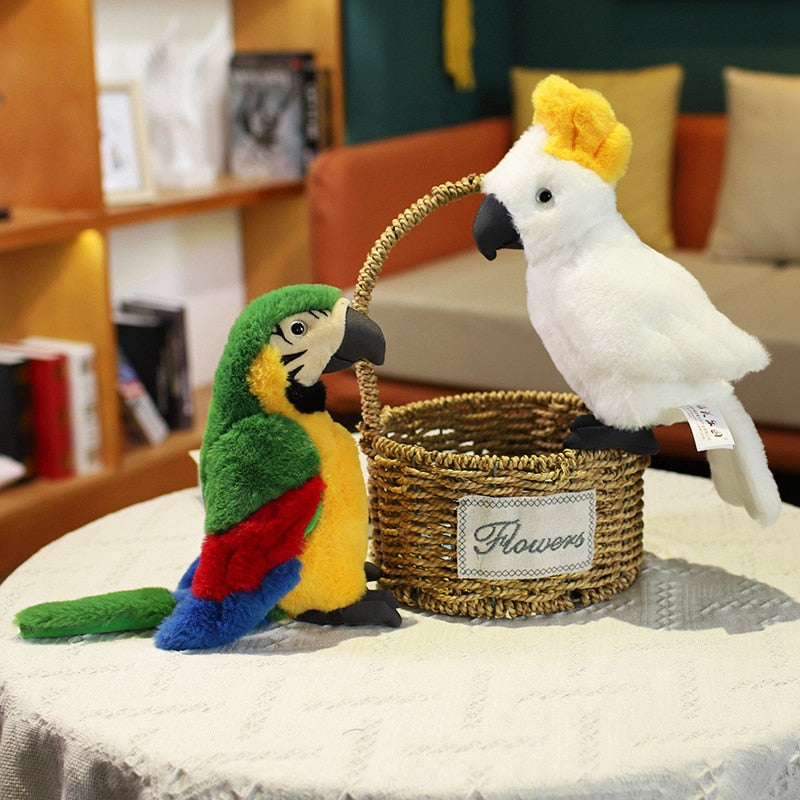 Bird (Lifelike Parrot) Plush Toys 25cm