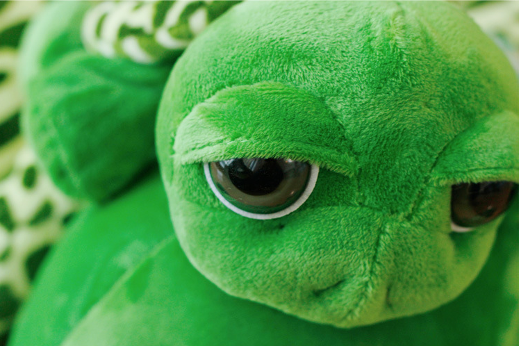 Tortoise/Turtle (Big Eyes) Plush Toys 20cm-63cm