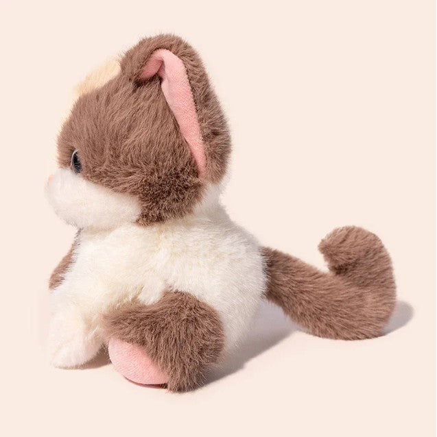 Cute Fox/Cat Plush Toys 20cm - Grey/Brown/Red/Black
