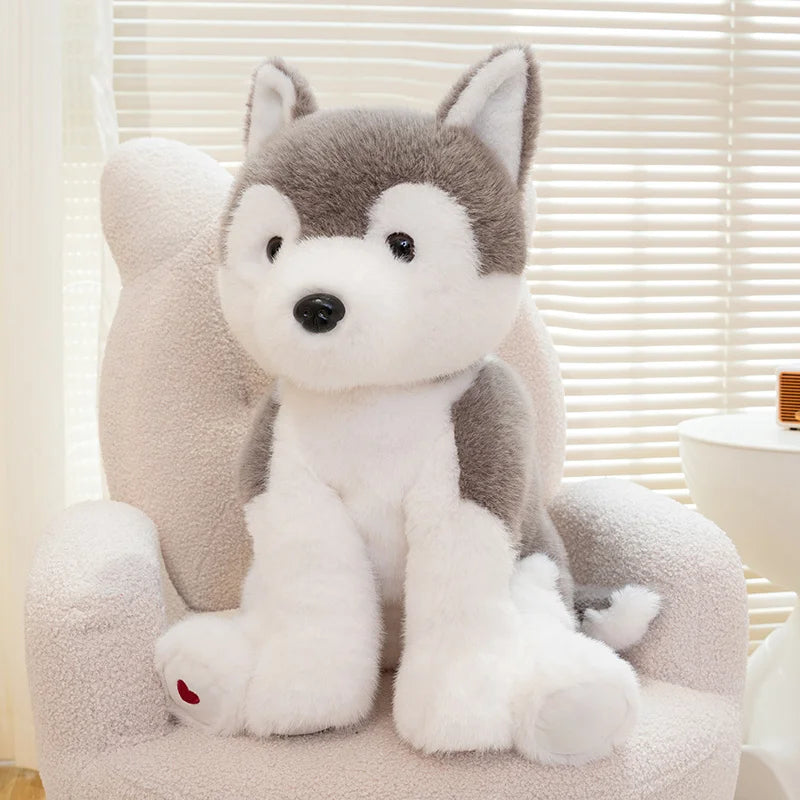 Cute Dog Plush Toys 30/40/55cm - Labrador/West Highlands/Golden Retriever/Husky/Border Collie
