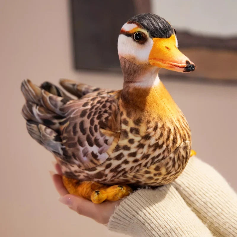 Bird (Lifelike/Realistc Mandarin Duck) Plush Toys 25cm - Brown/Colourful