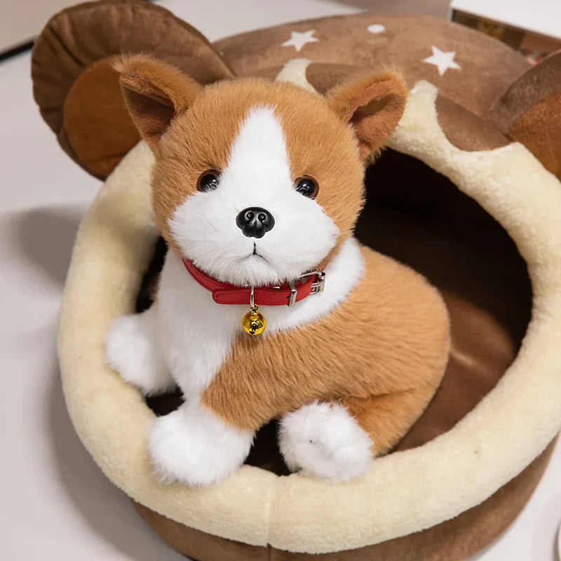 Cute Dog (Corgi) Plush Toys 25/32/37cm