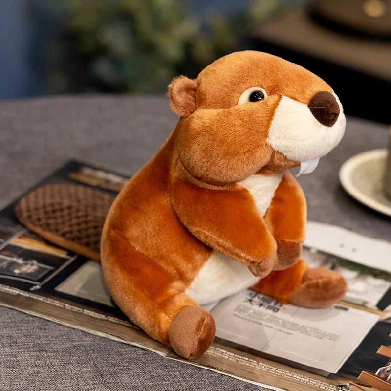 Cute Beaver/Marmot Plush Toys 20cm
